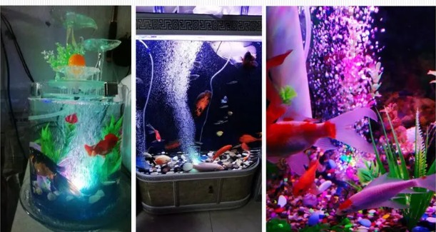 Aireador de burbujas para acuario